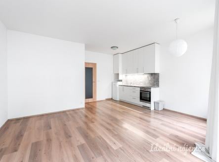 Pronájem bytu, 1+kk, 36 m²