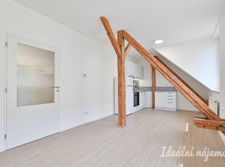 Pronájem bytu, 1+1, 45 m²