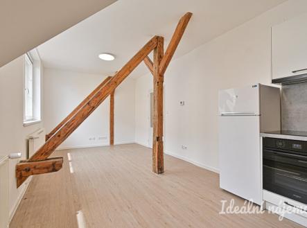 Pronájem bytu, 1+1, 45 m²