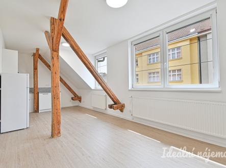 Pronájem bytu, 1+1, 45 m²
