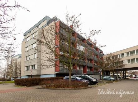 Pronájem bytu, 1+kk, 49 m²