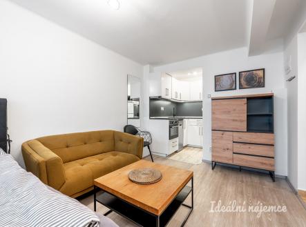 Pronájem bytu, 1+kk, 24 m²
