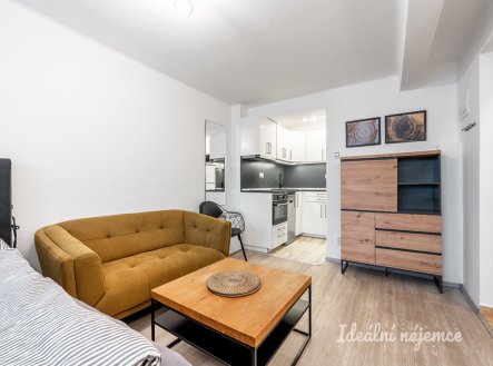 Pronájem bytu, 1+kk, 24 m²