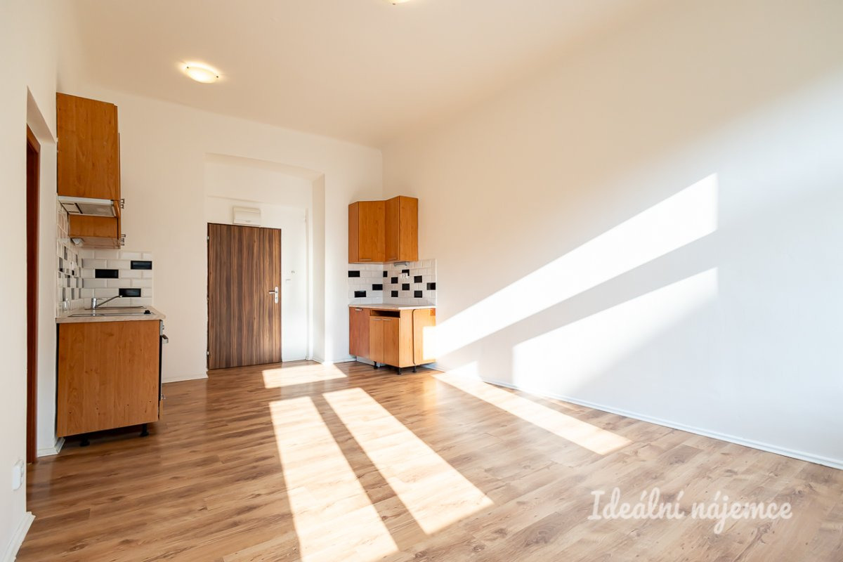 Pronájem bytu 2+kk, Seifertova, Žižkov,  18000 Kč/měs, 46 m2