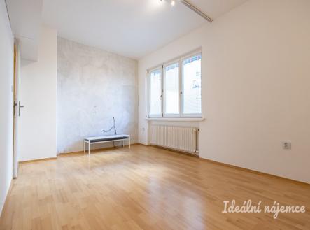 Pronájem bytu, 1+1, 48 m²