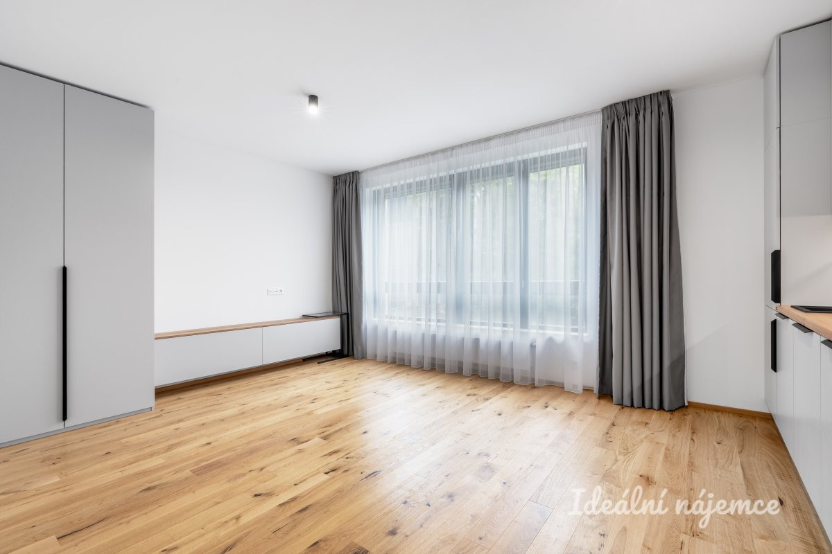 Pronájem bytu 1+kk, Závišova, Nusle, 22800 Kč/měs, 33 m2