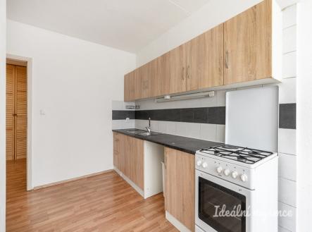 Pronájem bytu, 1+1, 46 m²