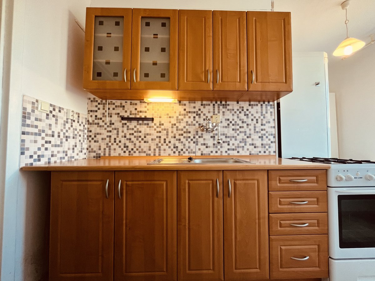 Pronájem bytu 1+1, Lužická, Výškovice u Ostravy, 8200 Kč/měs, 38 m2