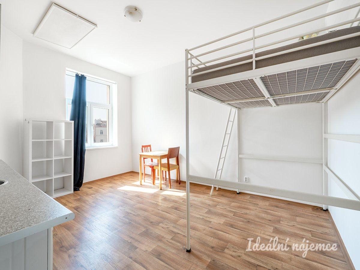 Pronájem bytu 1+kk, Orelská, Vršovice, 25 m2, 13.900CZK
