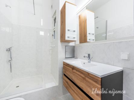 Pronájem bytu, 1+kk, 22 m²