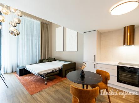 Pronájem bytu, 1+kk, 43 m²