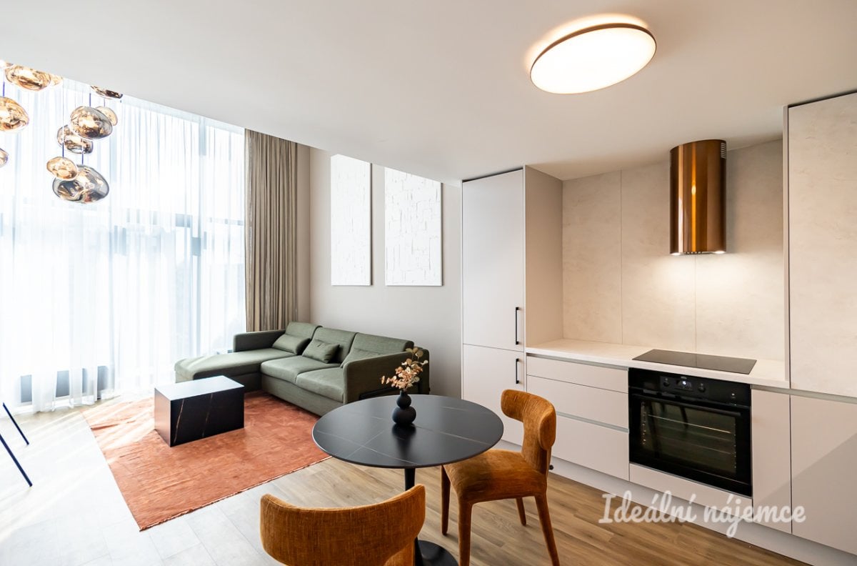 Pronájem bytu 1+kk, V háji, Holešovice, 31900 Kč/měs, 43 m2