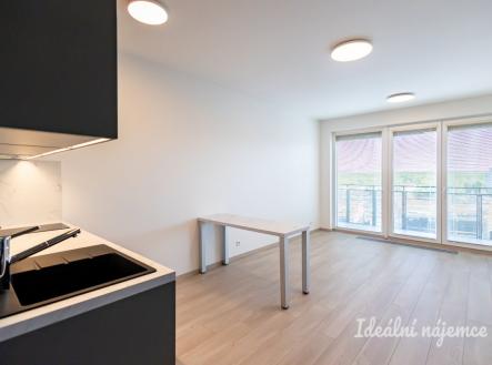 Pronájem bytu, 1+kk, 32 m²