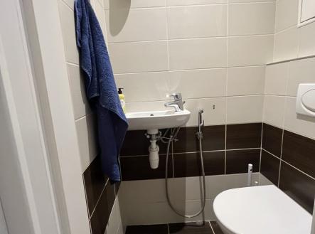 Pronájem bytu, 3+1, 75 m²