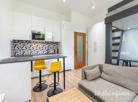 Pronájem bytu, 1+kk, 27 m²