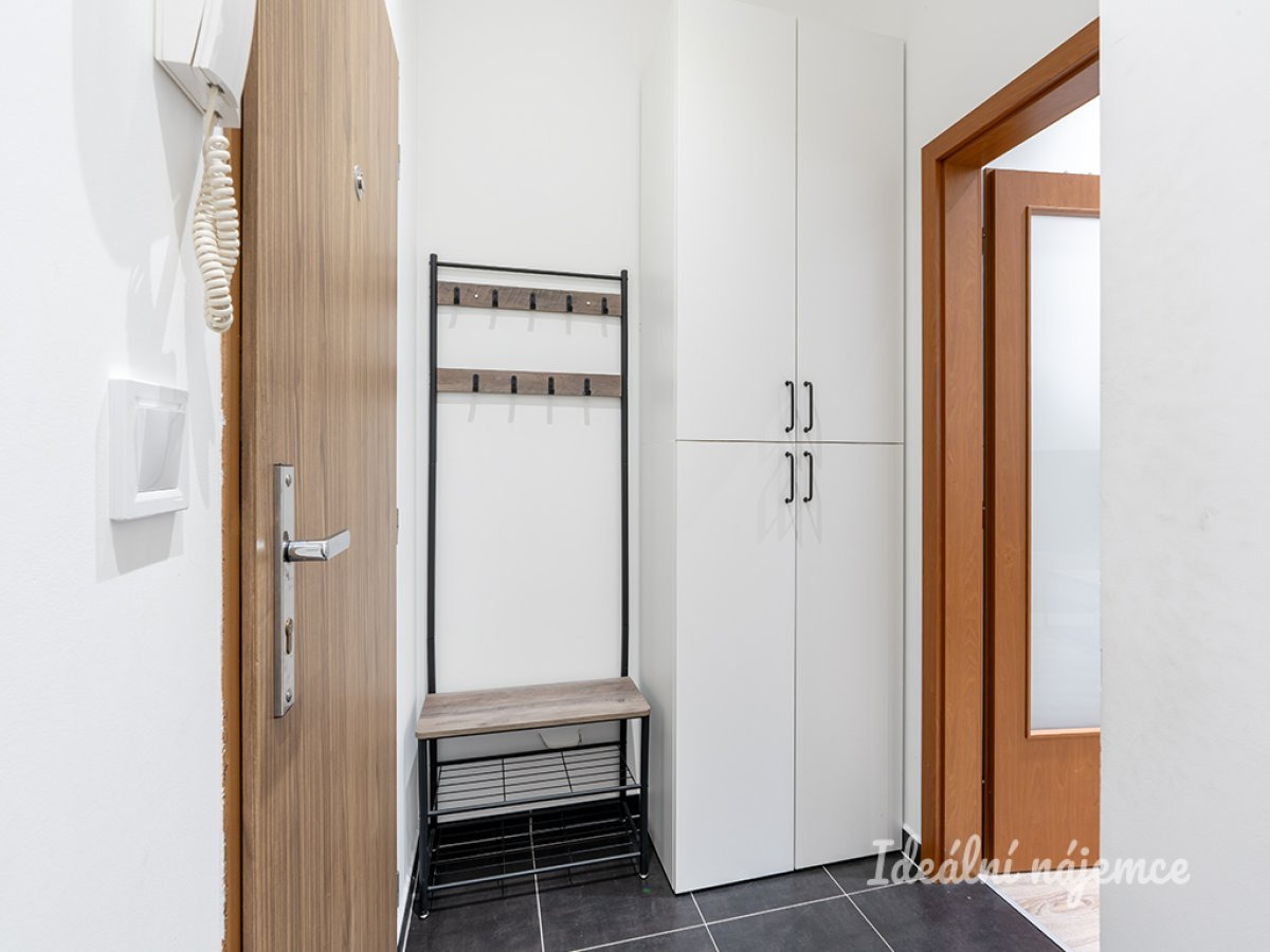 Pronájem bytu 1+kk, Rudolfa Holeky, Černý Most,  16500 Kč/měs, 27 m2