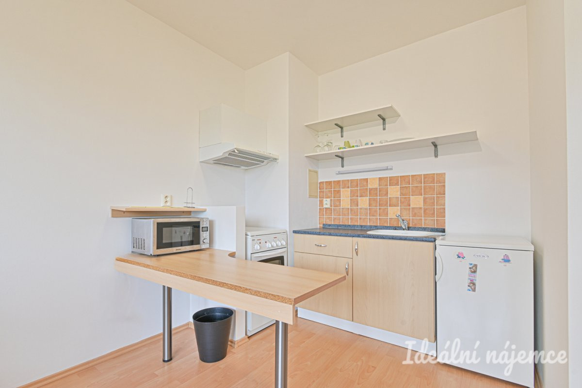 Pronájem bytu 1+kk, Keřová, Žebětín, 33 m2