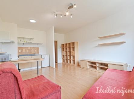 Pronájem bytu, 1+kk, 33 m²