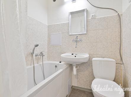 Pronájem bytu, 1+1, 29 m²