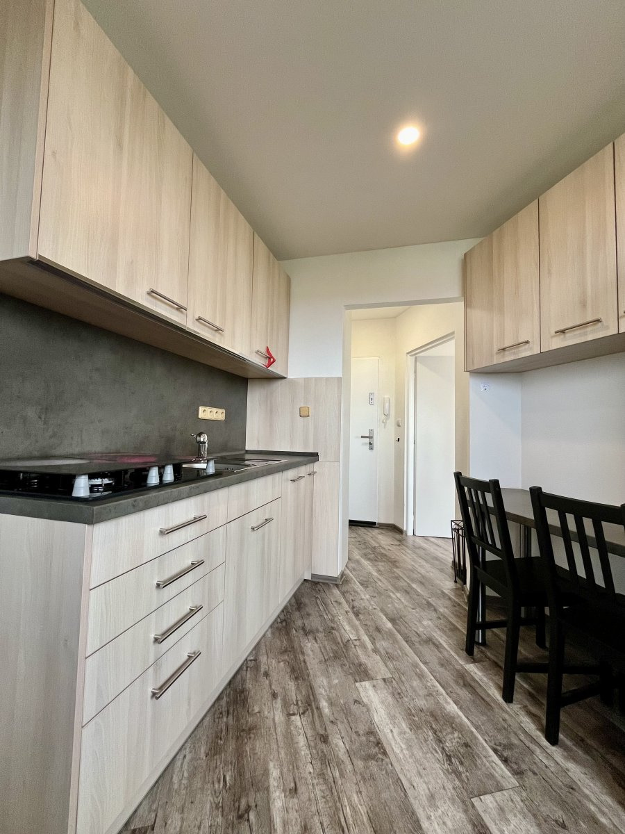 Pronájem bytu 2+1, Horní, Hrabůvka, 11900 Kč/měs, 43 m2