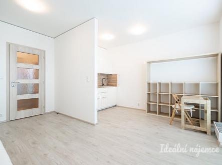Pronájem bytu, 1+kk, 33 m²