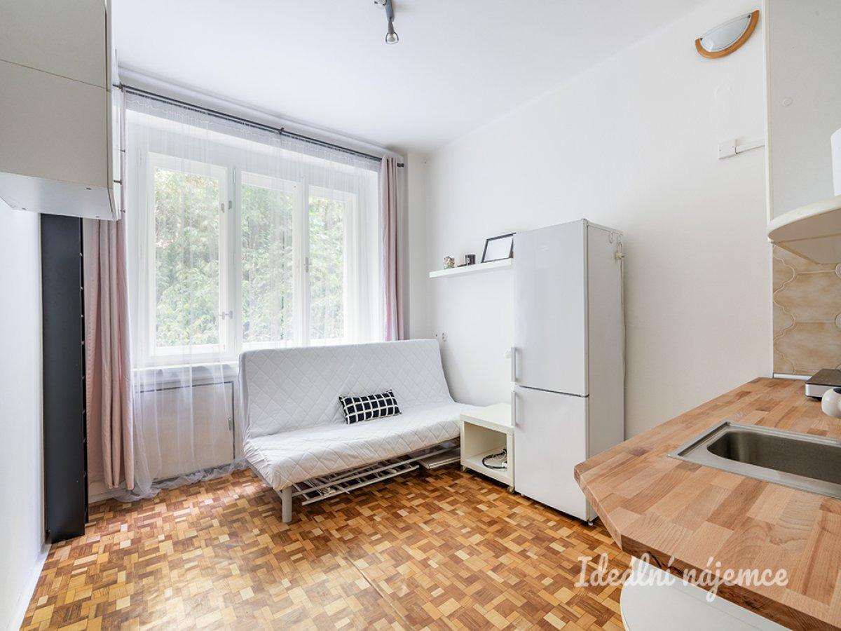 Pronájem bytu 1+kk, Soběslavská, Vinohrady,  14000 Kč/měs, 20 m2
