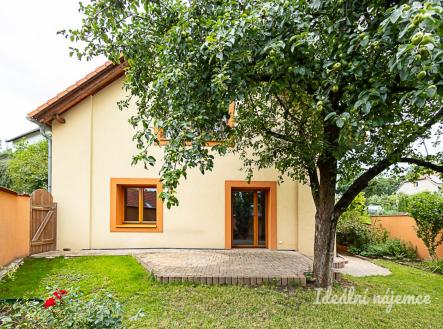 Pronájem - dům/vila, 221 m²