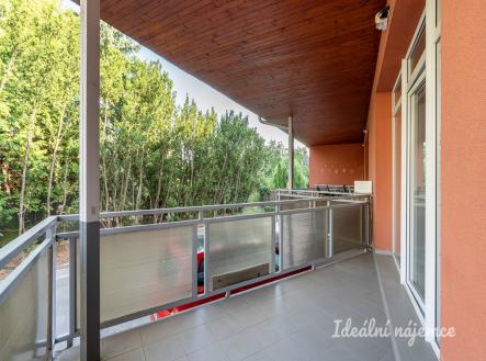 Pronájem bytu, 1+kk, 48 m²