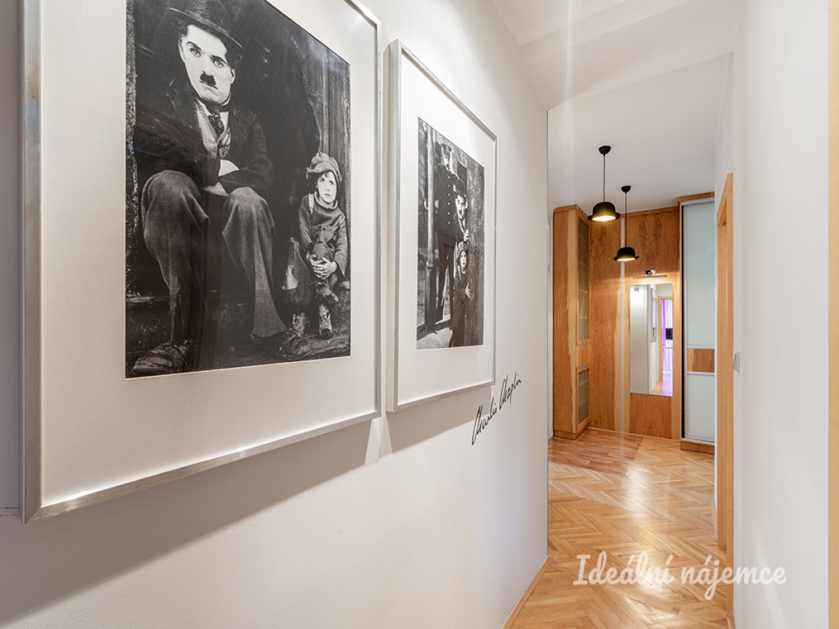 Fotku se nepodařilo načíst.