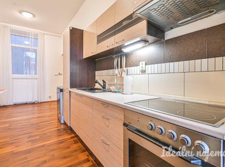 Pronájem bytu, 1+1, 48 m²