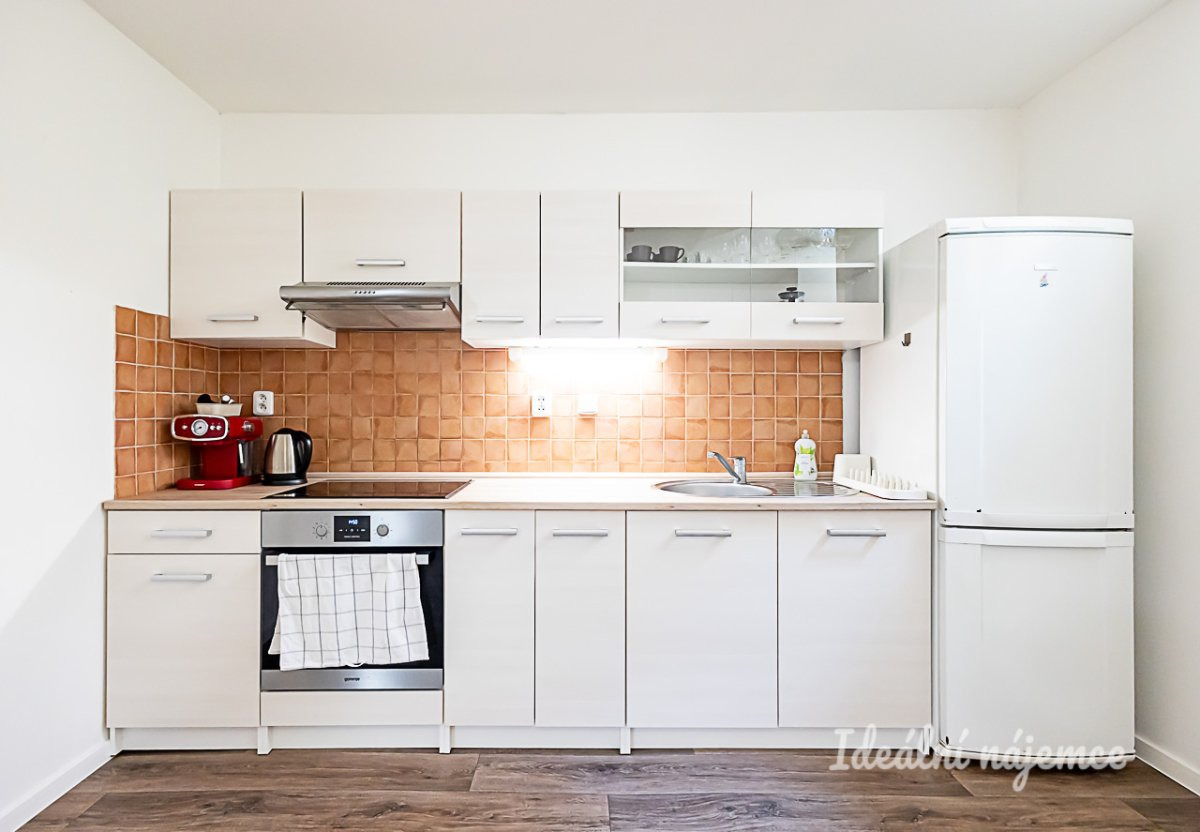 Pronájem bytu 1+kk, Mánesova, Vinohrady, 17900 Kč/měs, 63 m2