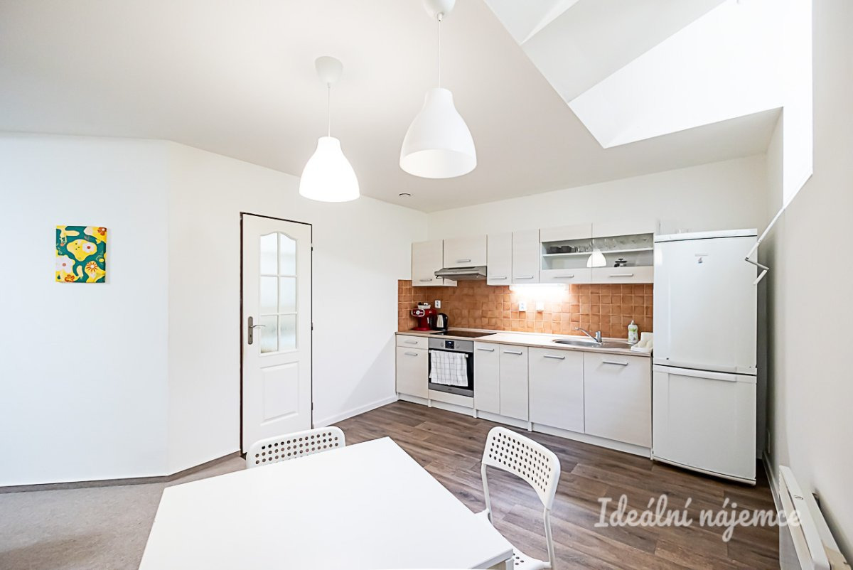 Pronájem bytu 1+kk, Mánesova, Vinohrady, 17900 Kč/měs, 63 m2