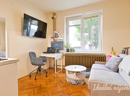 Pronájem bytu, garsoniéra, 20 m²