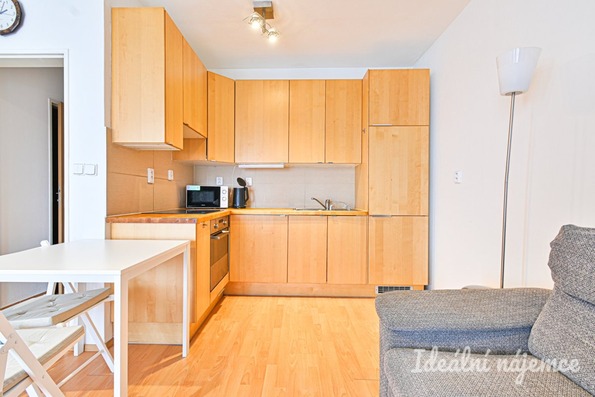 Pronájem bytu 1+kk, Bělohorská, Židenice, 38 m2