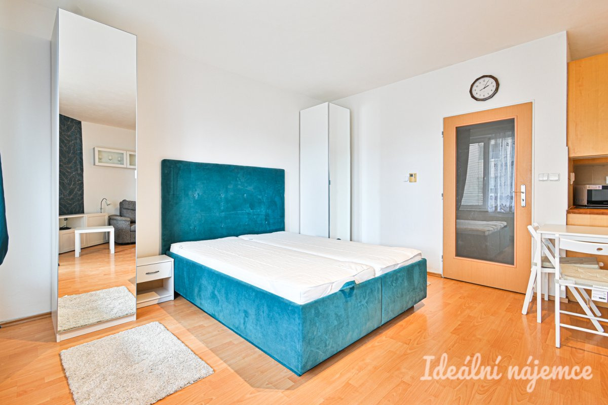 Pronájem bytu 1+kk, Bělohorská, Židenice, 38 m2