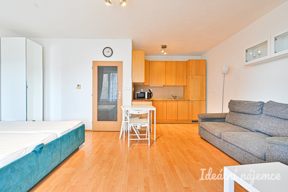 Pronájem bytu 1+kk, Bělohorská, Židenice, 38 m2