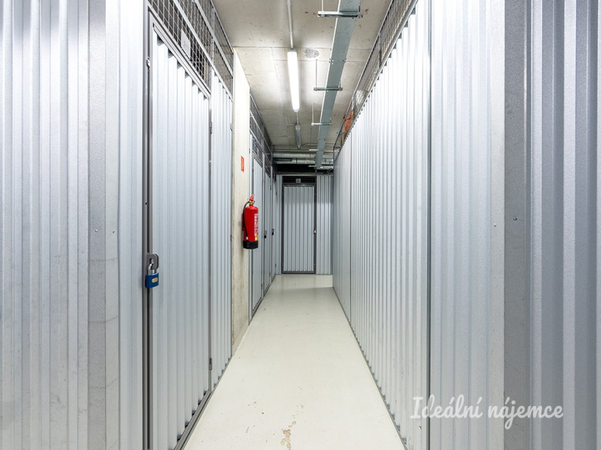 Fotku se nepodařilo načíst.