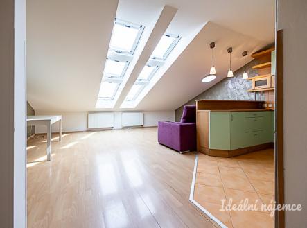 Pronájem bytu, 4+kk, 116 m²