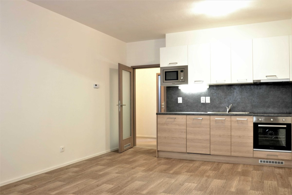 Prodej bytu 1+kk, Turgeněvova, Černovice, 40 m2