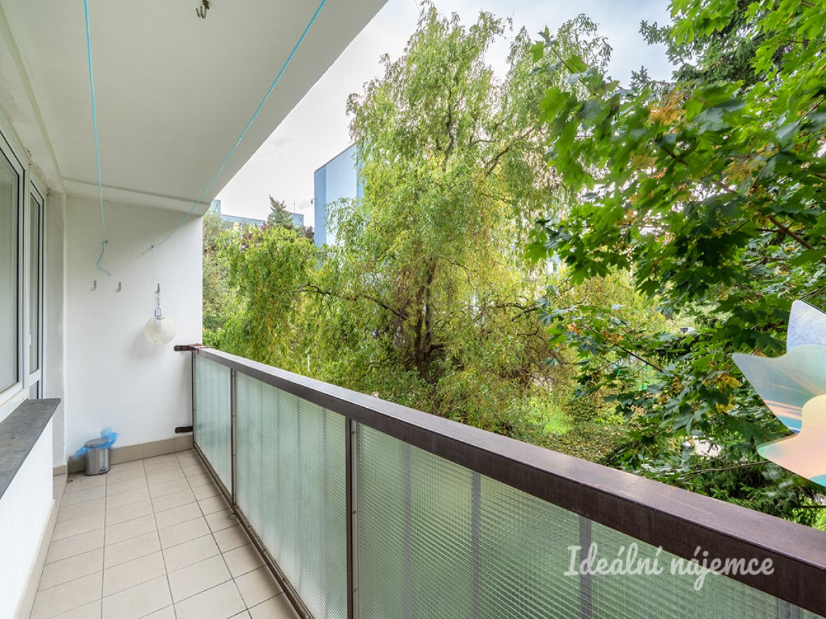 Fotku se nepodařilo načíst.