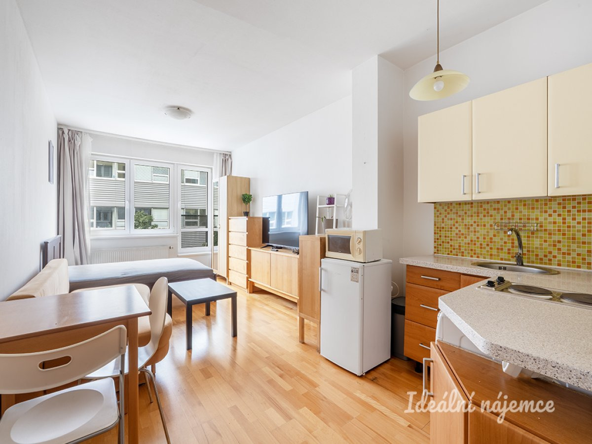 Pronájem bytu 1+kk, Jemnická, Michle, 18000 Kč/měs, 28 m2