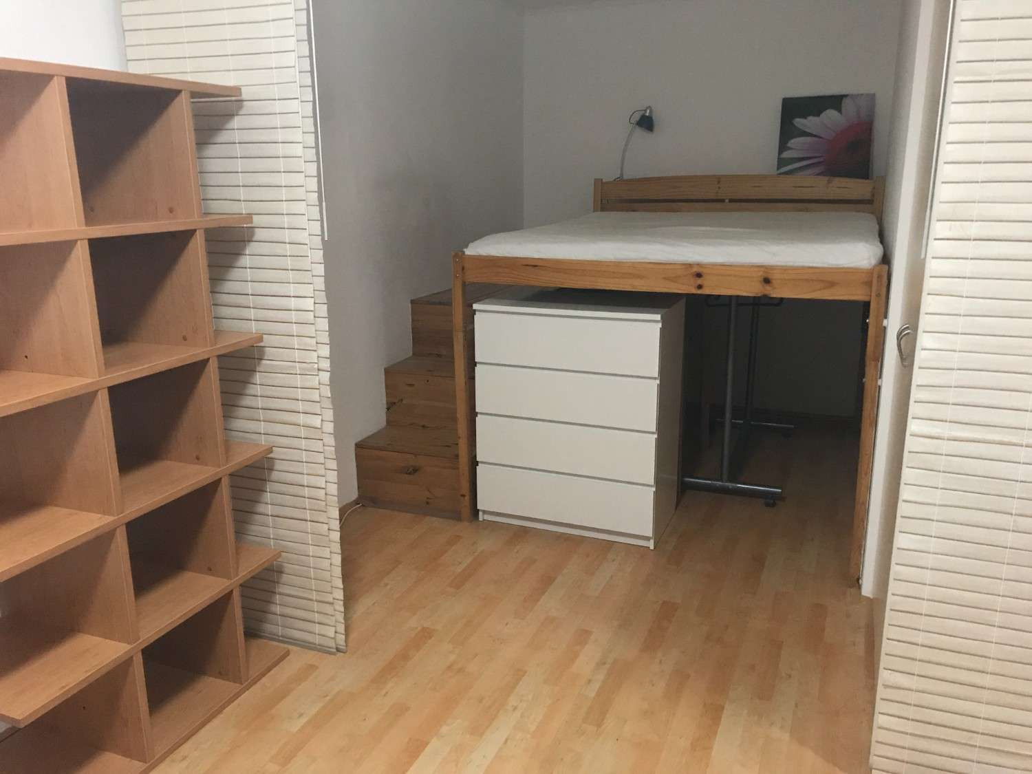 Fotku se nepodařilo načíst.