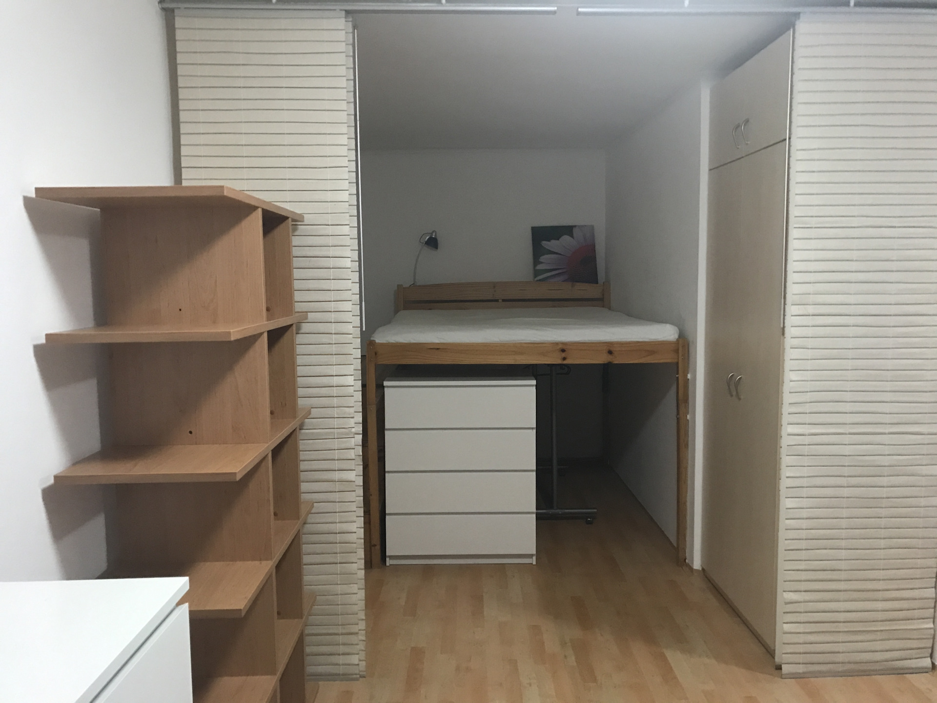 Fotku se nepodařilo načíst.