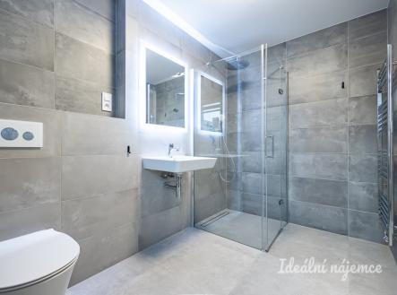 Pronájem domu/vily, 120 m²