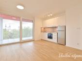 Pronájem bytu, 1+kk, 29 m²