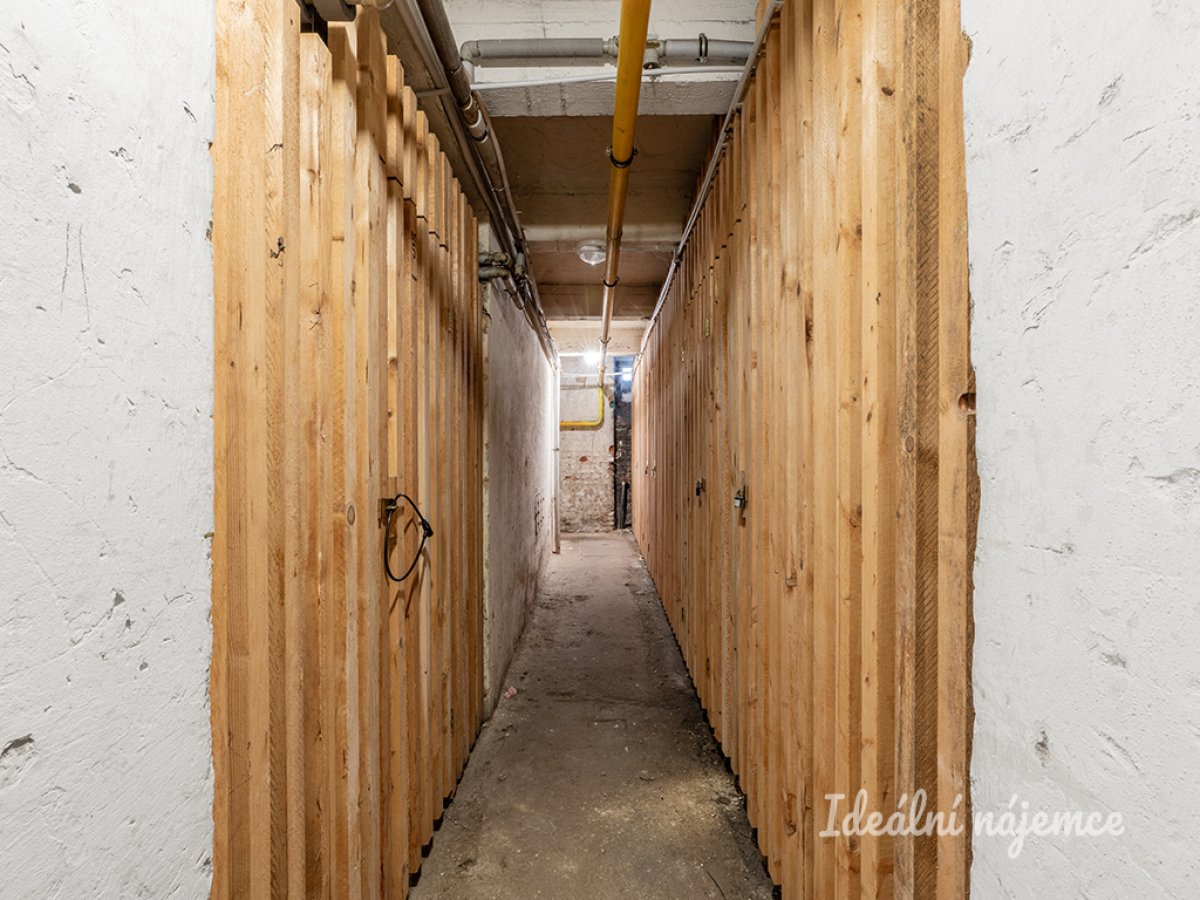 Fotku se nepodařilo načíst.