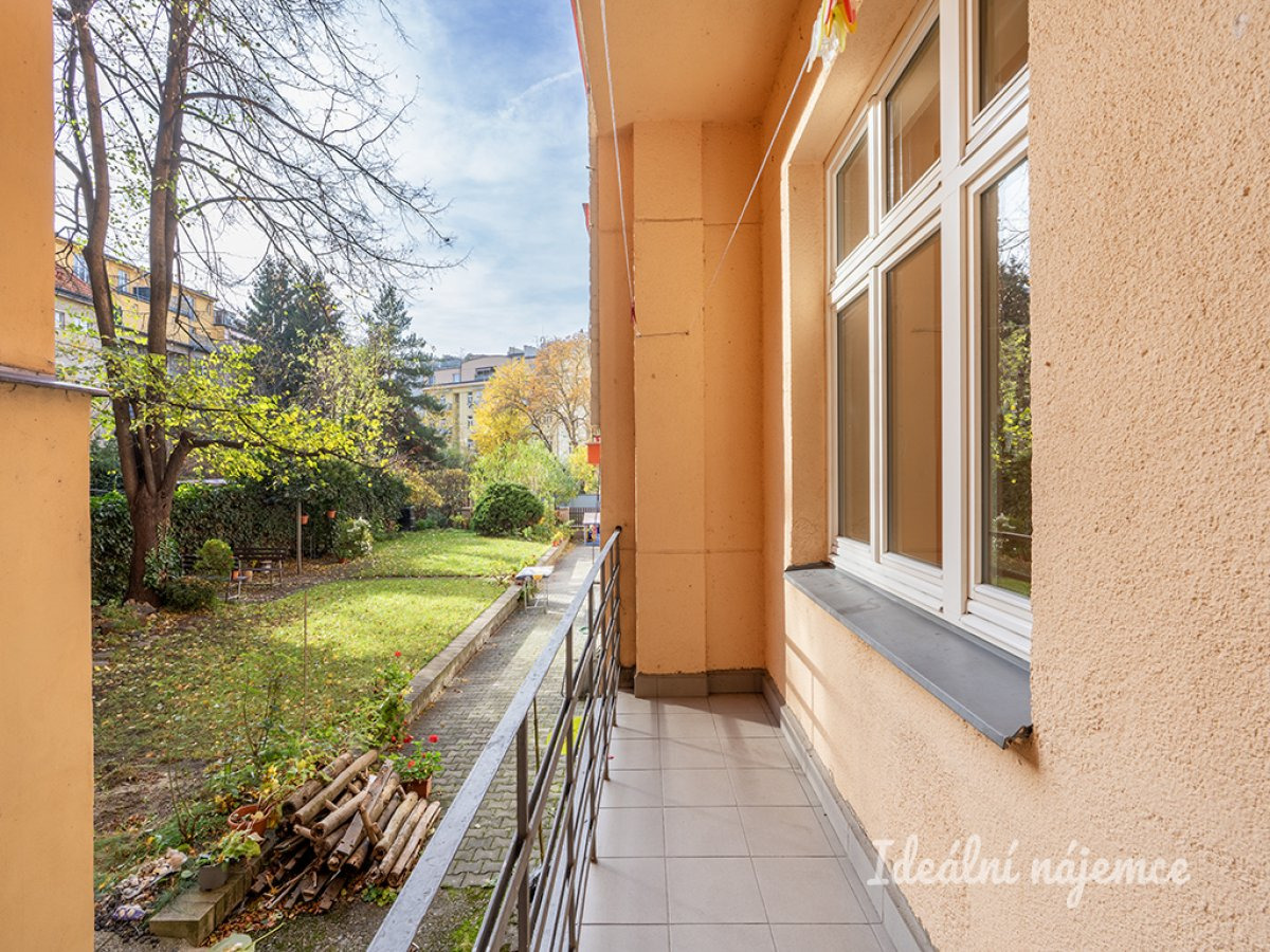 Pronájem bytu 1+kk, Doudova, Podolí, 15900 Kč/měs, 33 m2