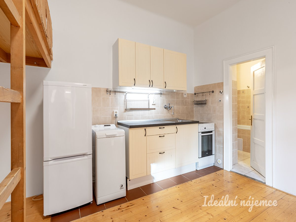 Pronájem bytu 1+kk, Doudova, Podolí, 14900 Kč/měs, 33 m2