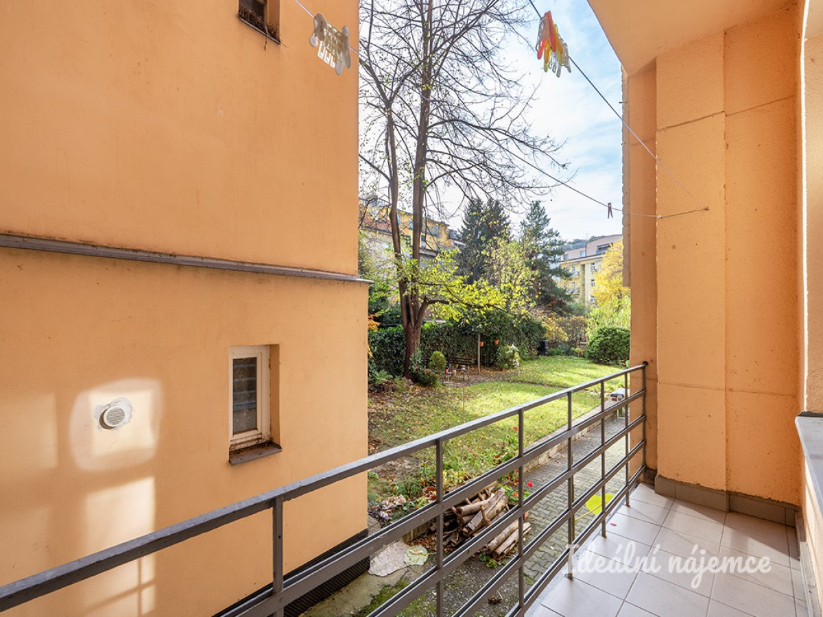 Pronájem bytu 1+kk, Doudova, Podolí, 14900 Kč/měs, 33 m2