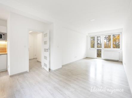 Pronájem bytu, 3+1, 84 m²